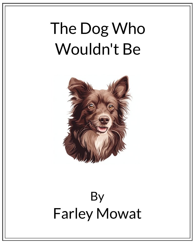 Cover image for Dog Who Wouldn't Be, The